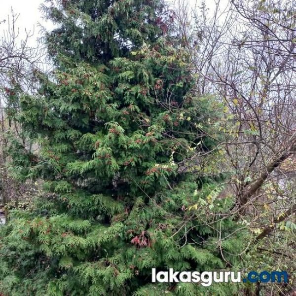 14_elado_haz_Nagykapornak_Zala_lakasguru